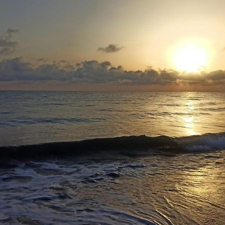 데니아 La Playa A 2 Minutos Y 14 Segundos A Pie 아파트 외부 사진